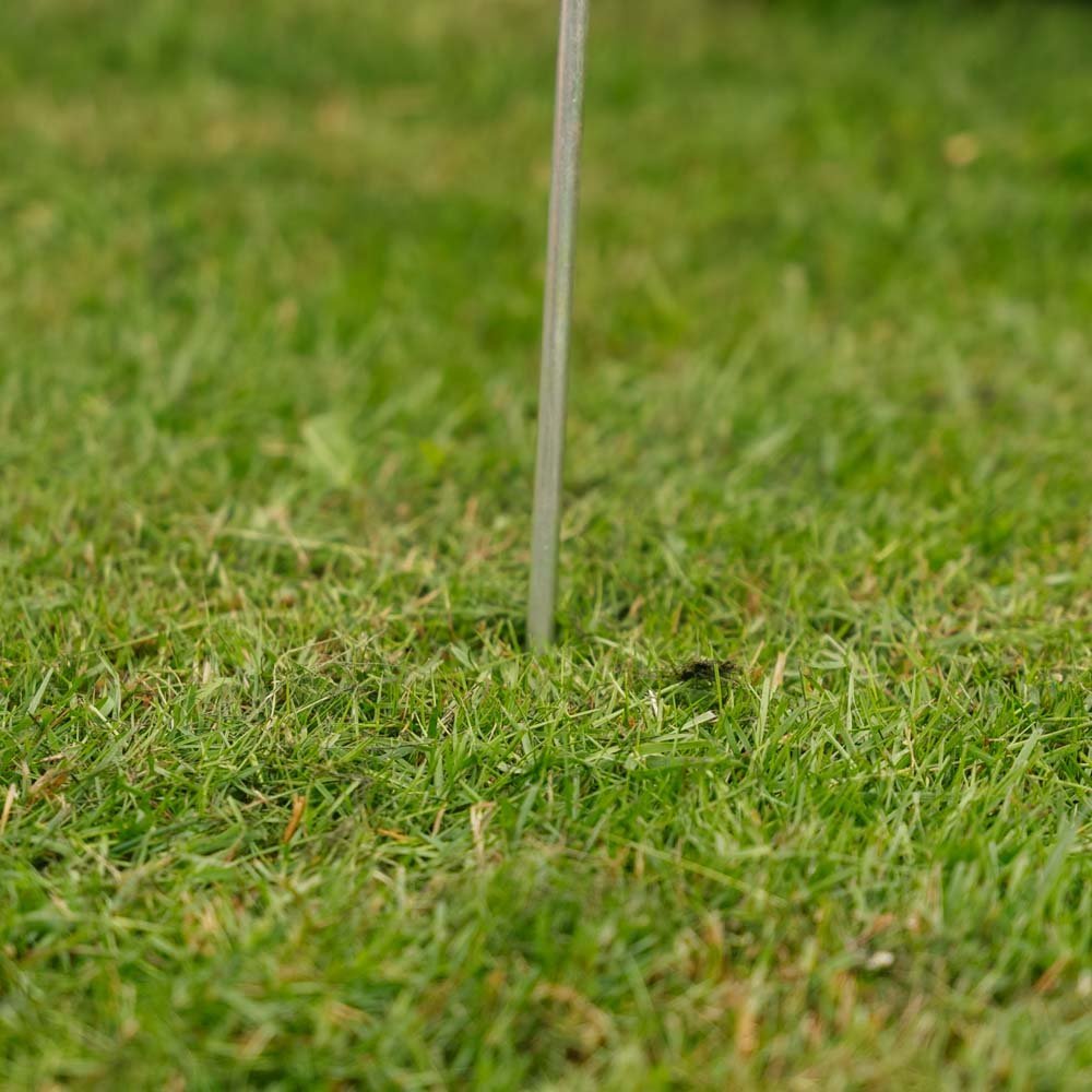 Muurahaisvapaa juoksijan etsijä, 1 kpl