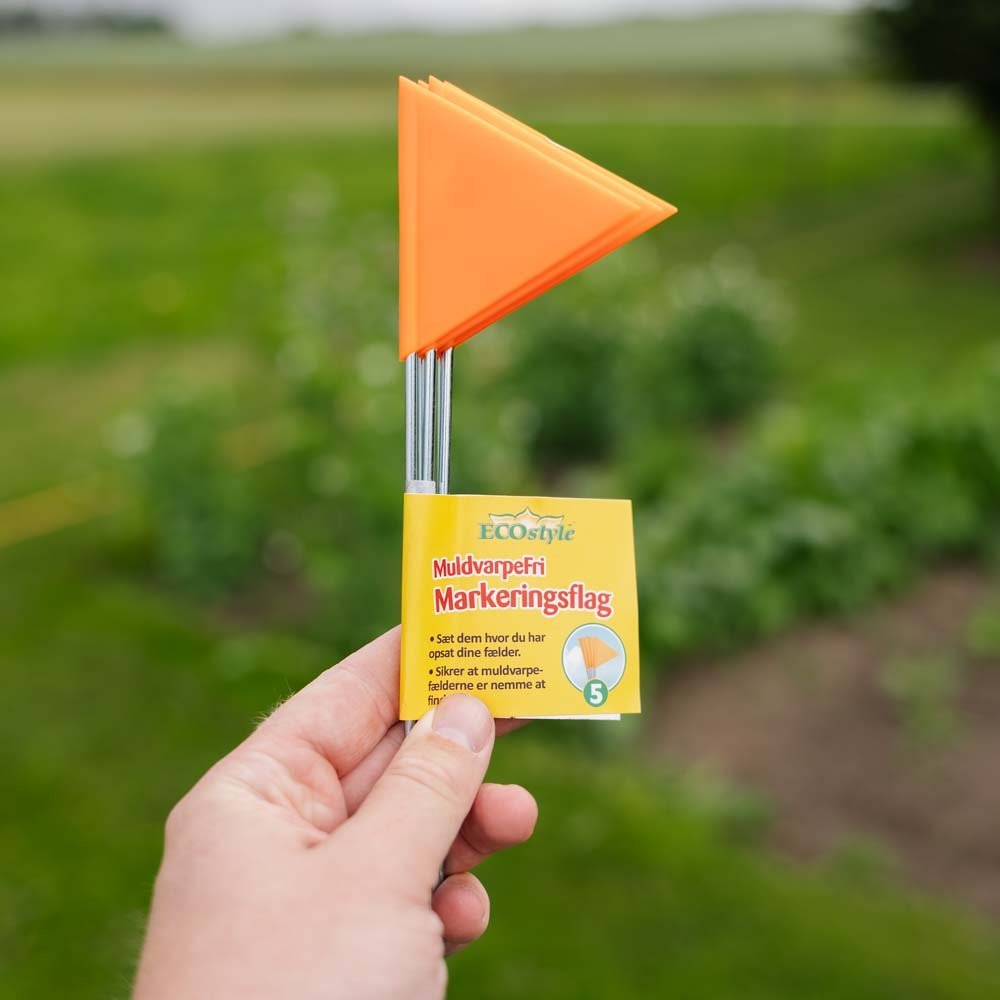 Muurahaisvapaat merkintäliput, 5 kpl