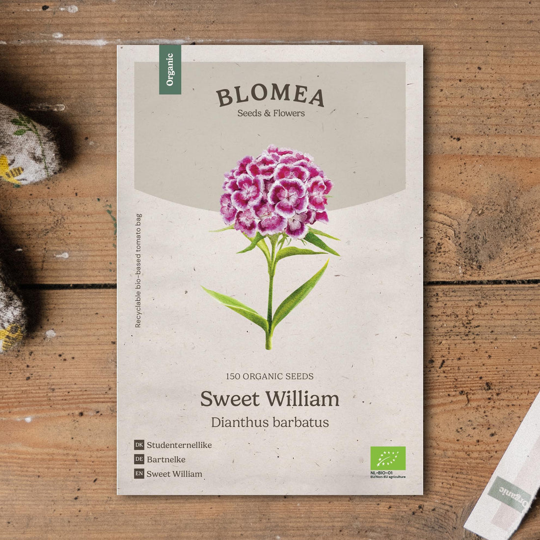 Neilikan siemenet 'Sweet William' - 150 luomusiementä