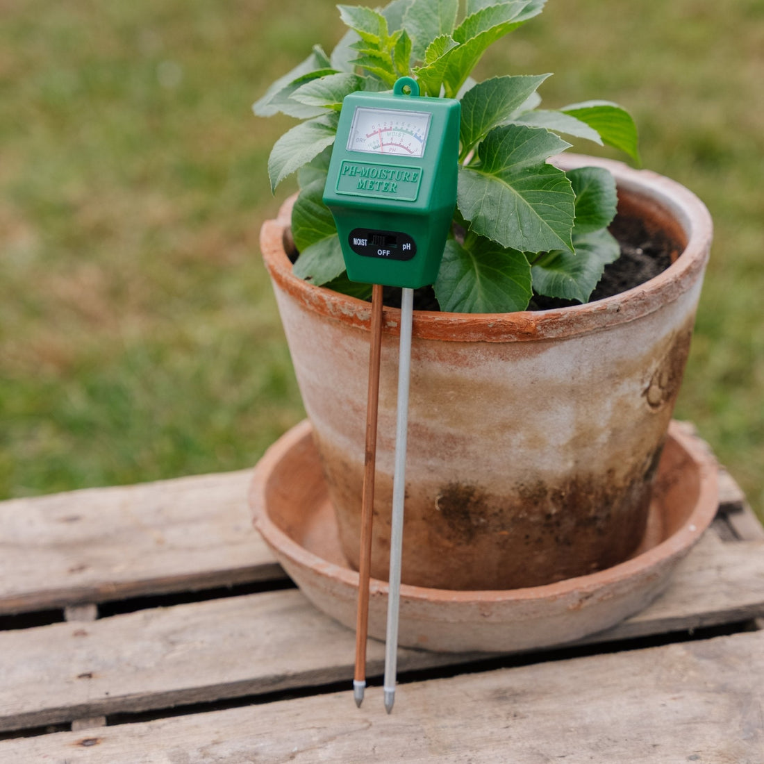 pH - ja kosteusmittari