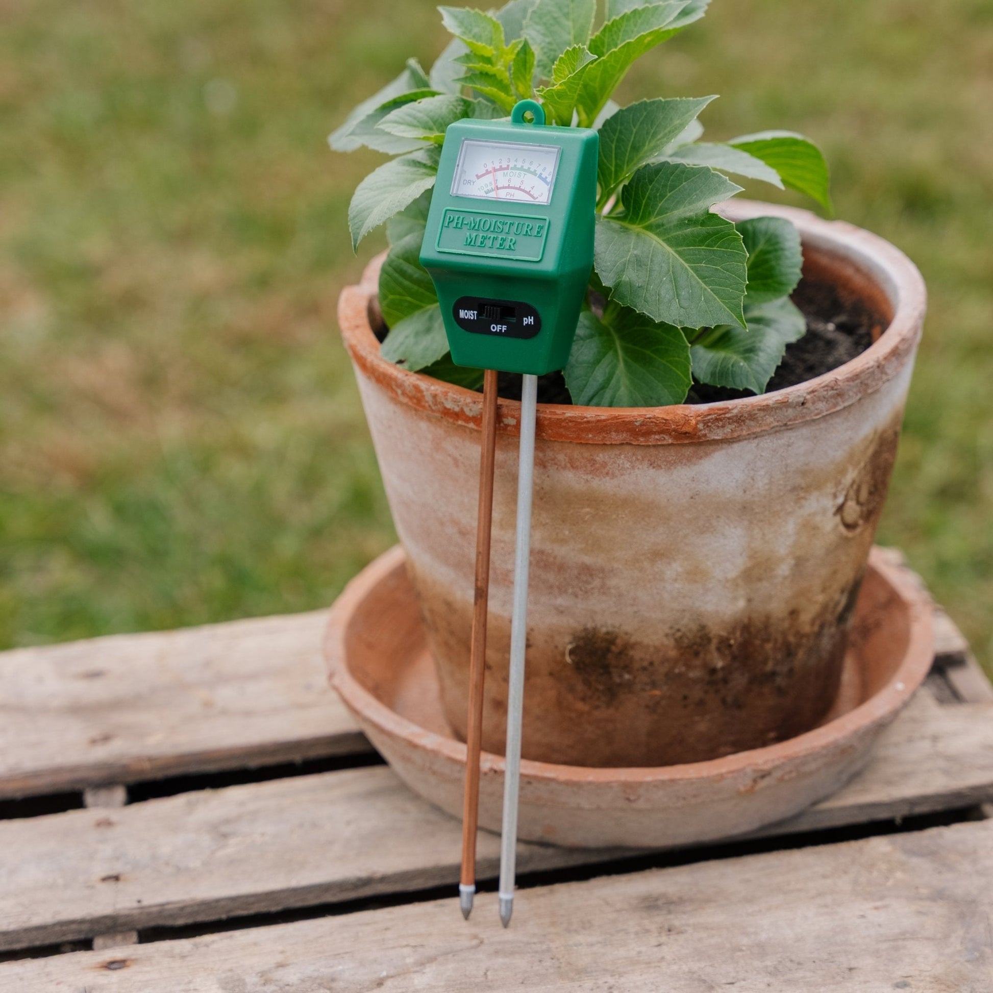 pH - ja kosteusmittari