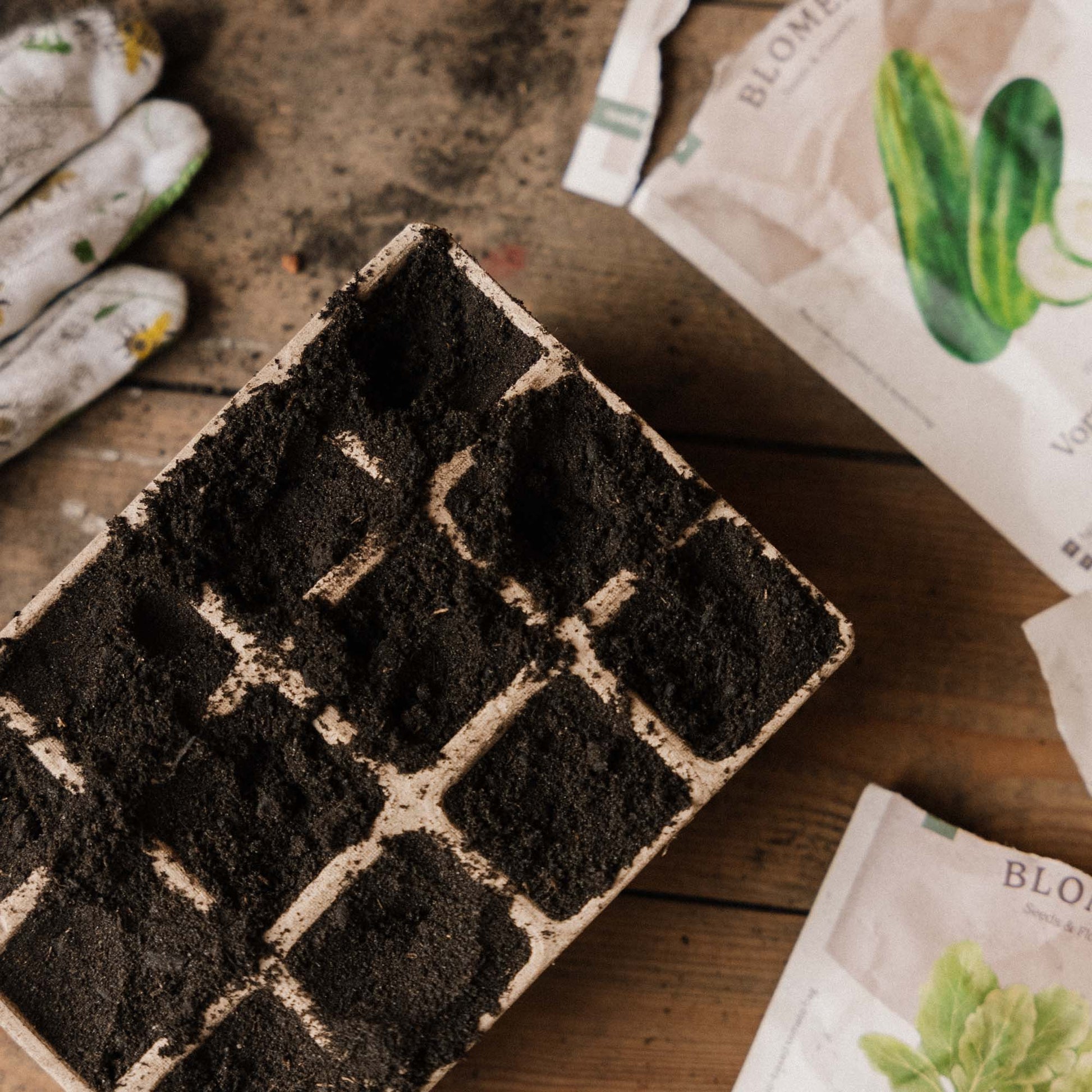 Pienet biohajoavat siemenalustat, 3 kpl