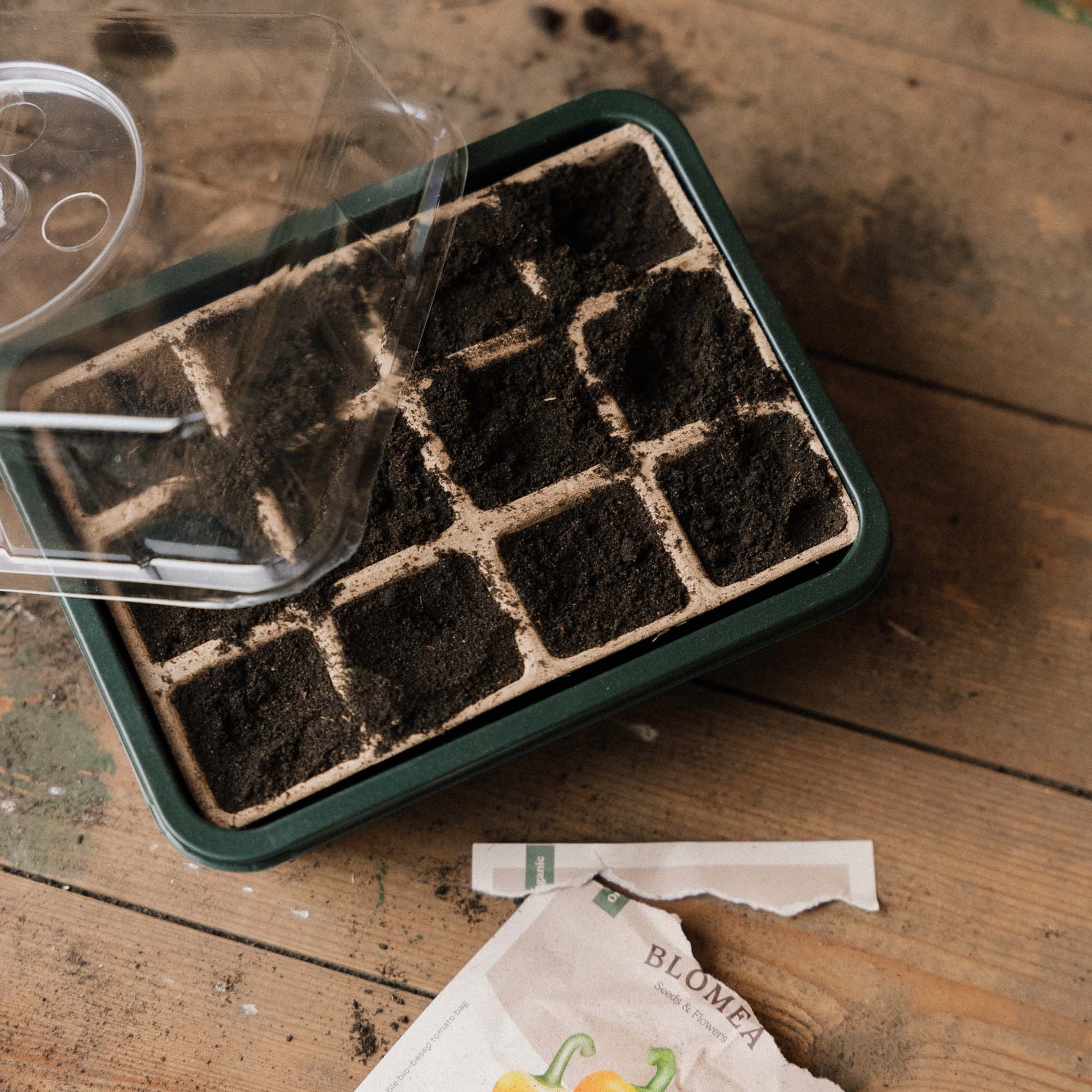 Pieni minikasvihuone