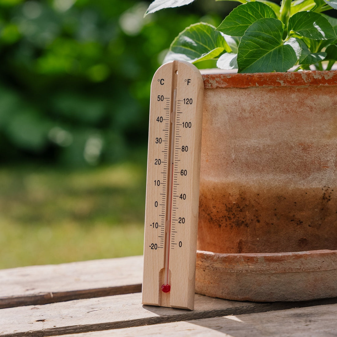 Puisella rungolla varustettu puulämpömittari