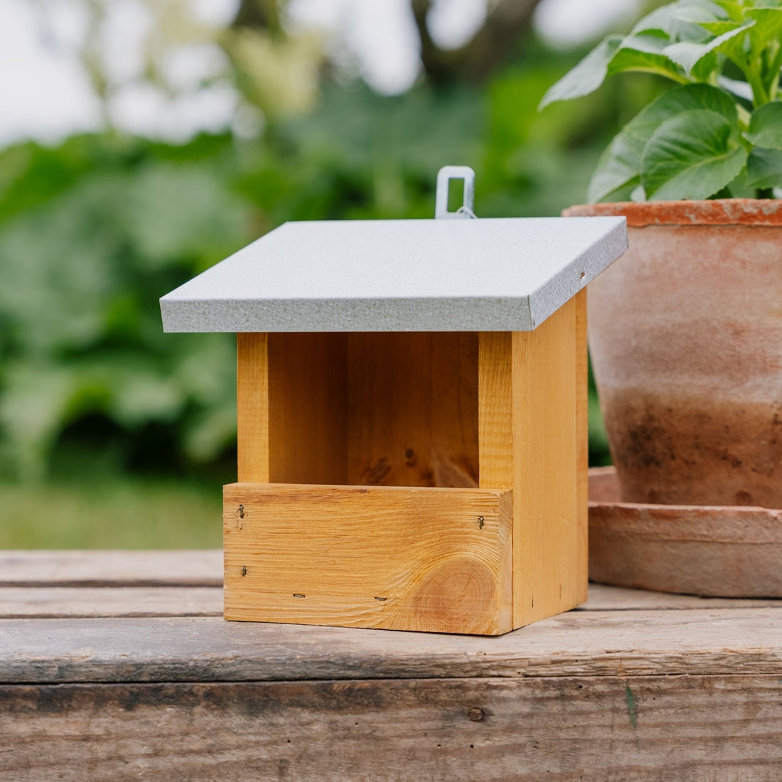 Punarinnan ruokintatalo, Pituus: 13 cm Leveys: 17 cm Korkeus: 20 cm