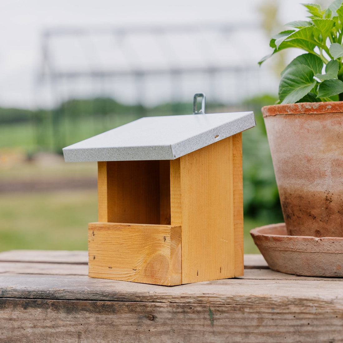 Punarinnan ruokintatalo, Pituus: 13 cm Leveys: 17 cm Korkeus: 20 cm