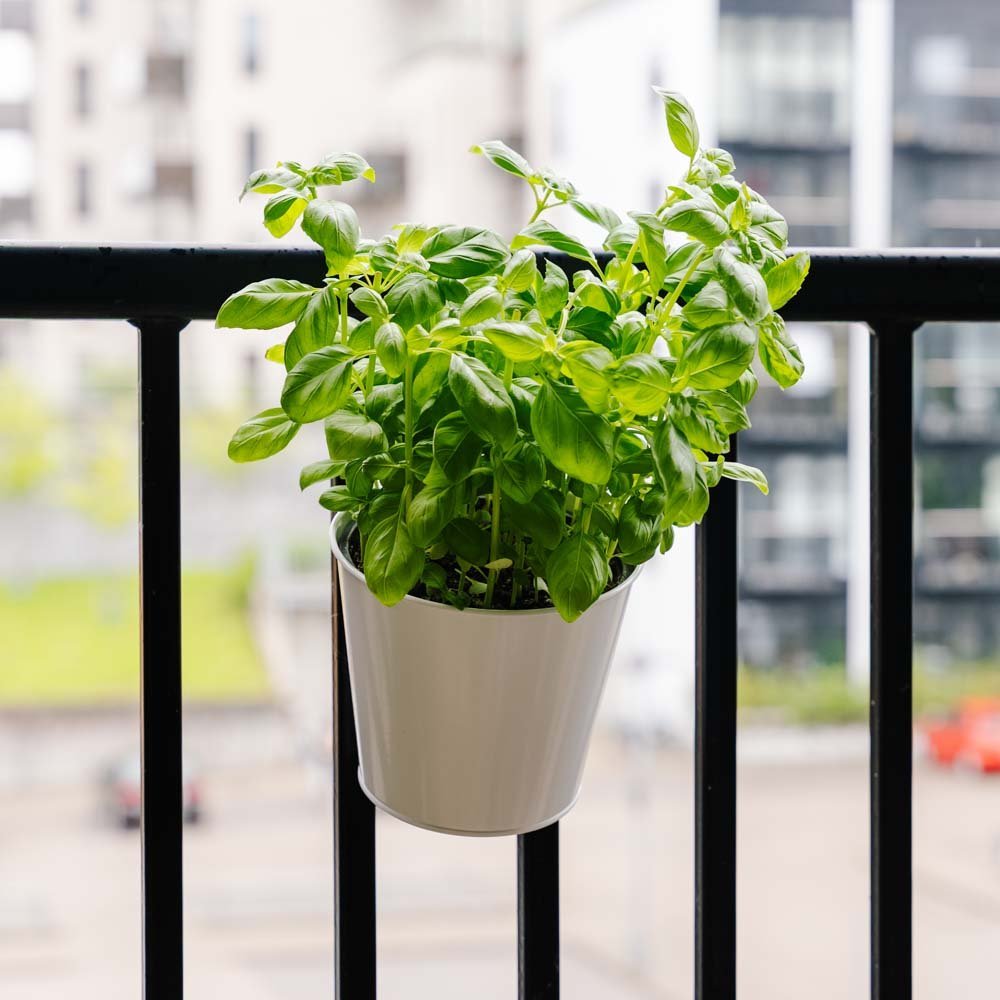 Pyöreä parvekelaatikko, pituus 24,5 cm, leveys 16,2 cm, korkeus 25,2 cm