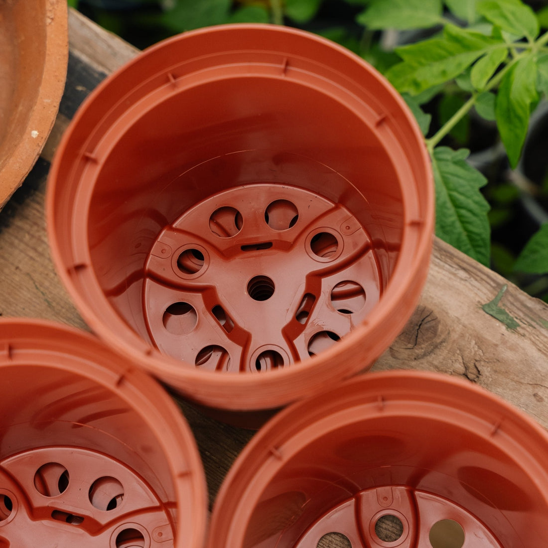 Ruukut 13 cm, 12 kpl.