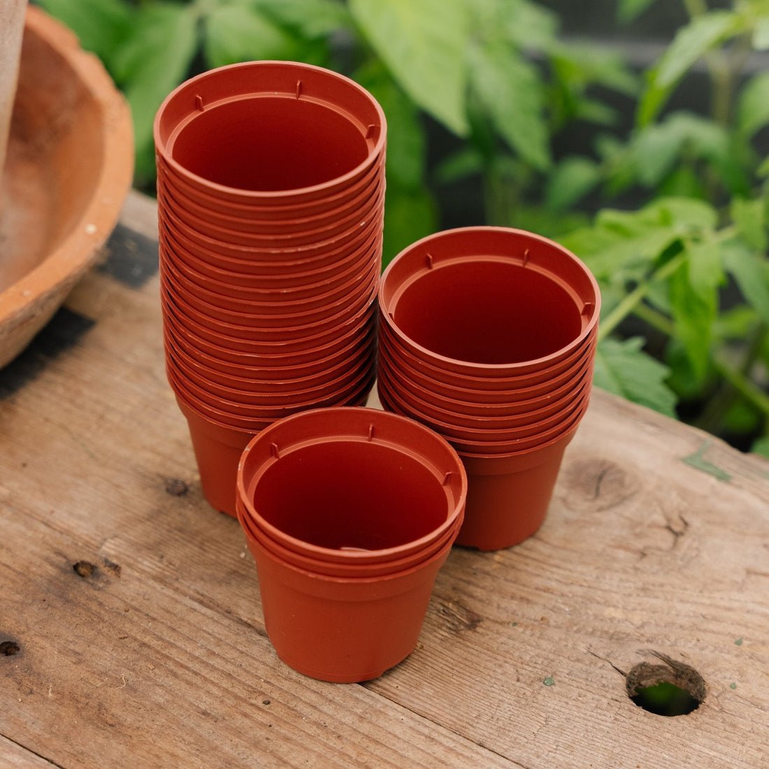 Ruukut 6 cm, 30 kpl.