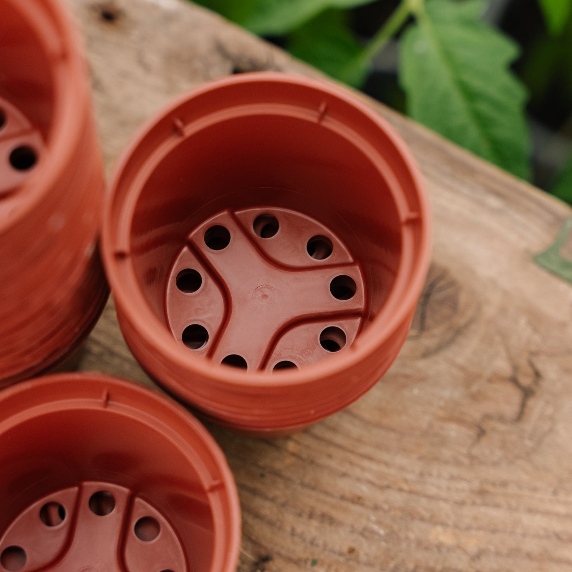 Ruukut 6 cm, 30 kpl.