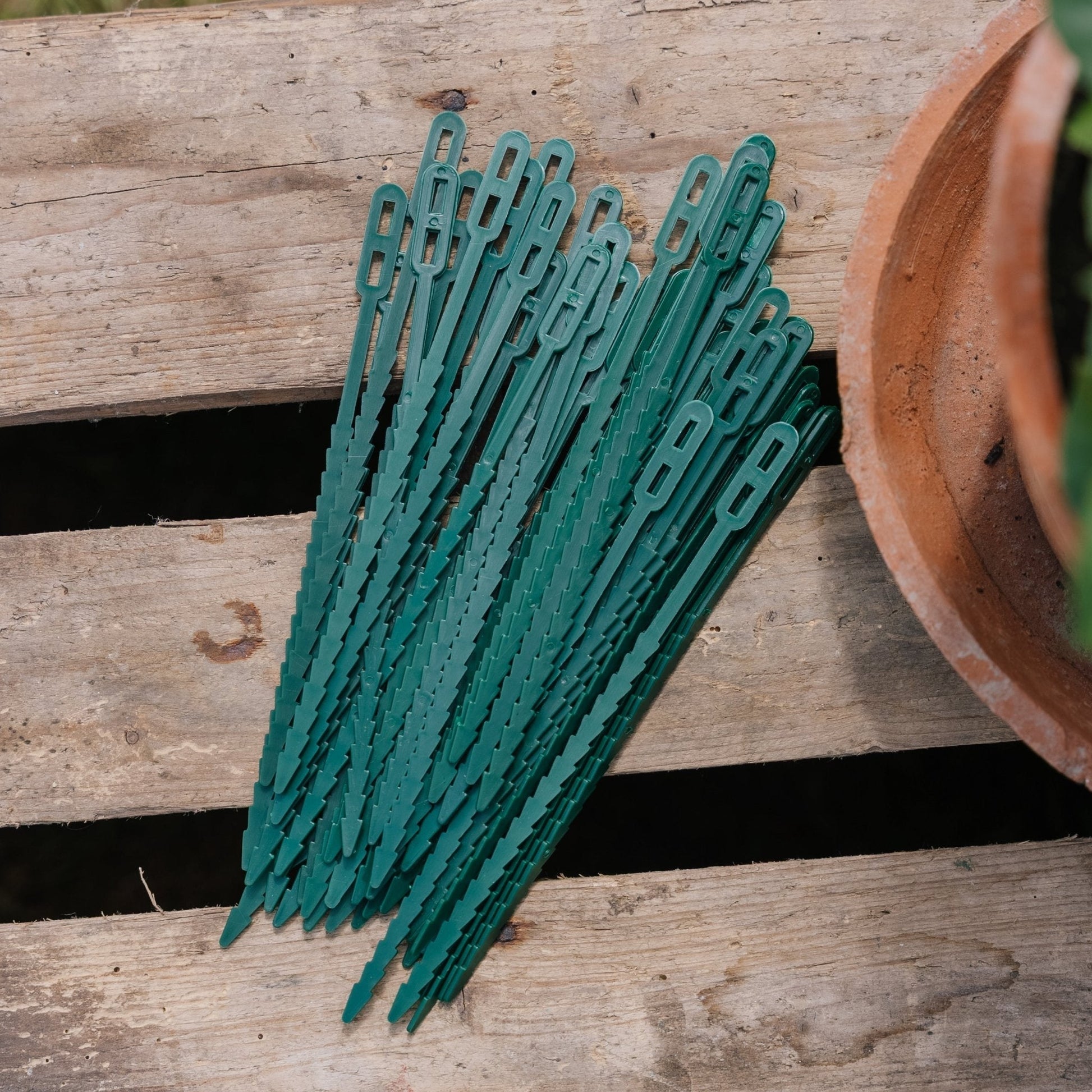 Säädettävät kasvinsidontanauhat, 50 kpl