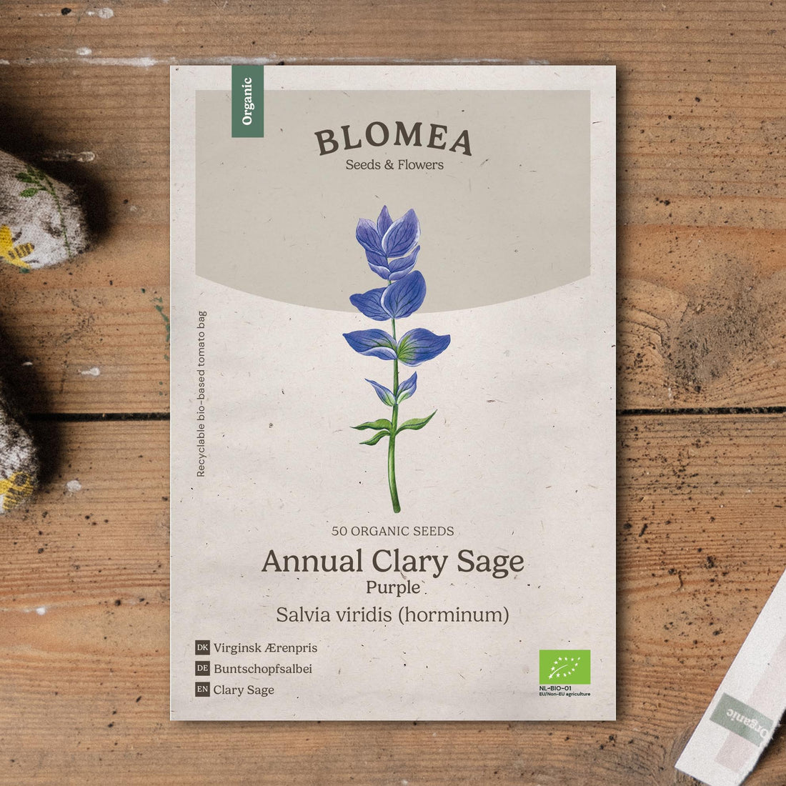 Salvian siemenet 'Purple' - 50 luomusiementä