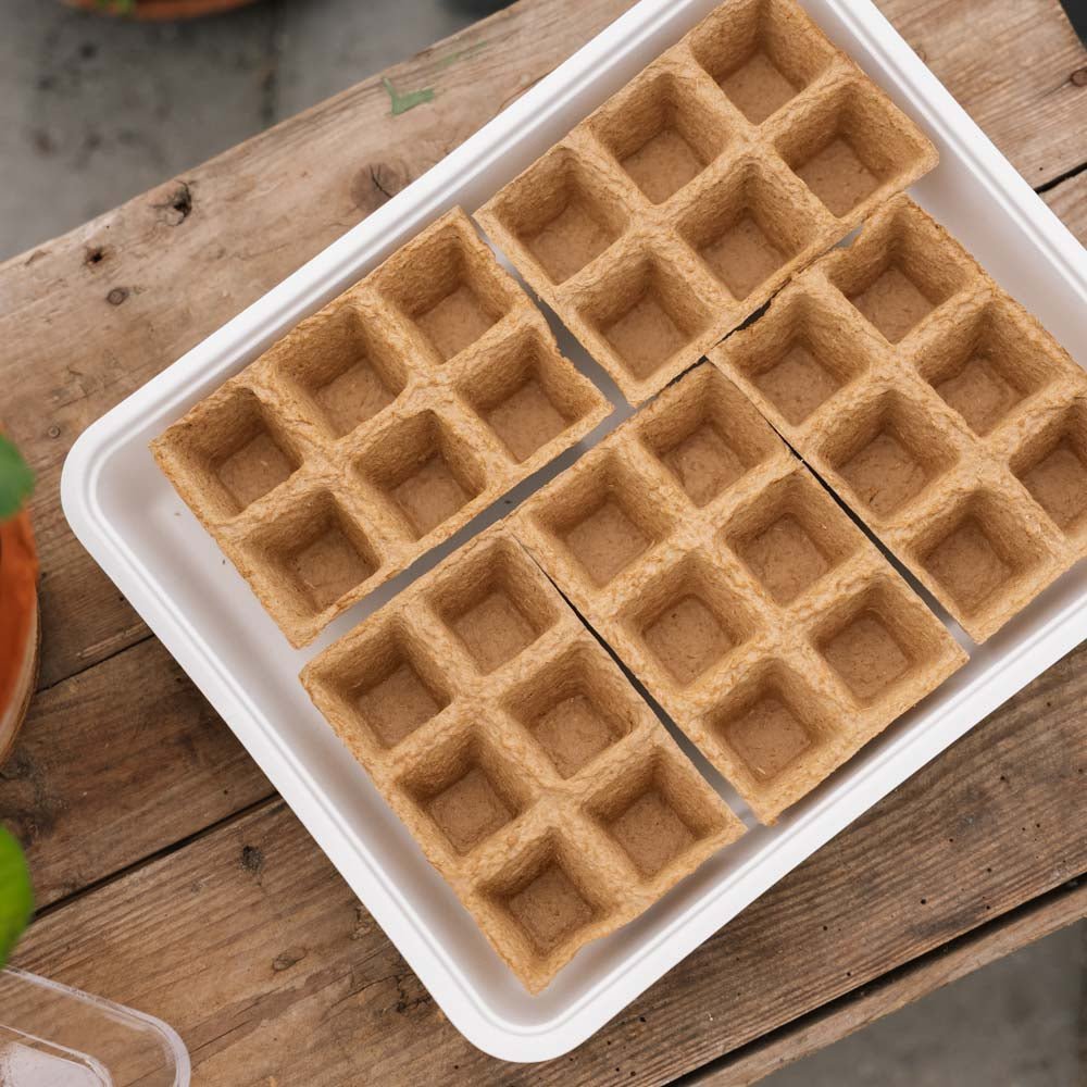 Siemenlaatikko, jossa 30 ekologista ruukkua