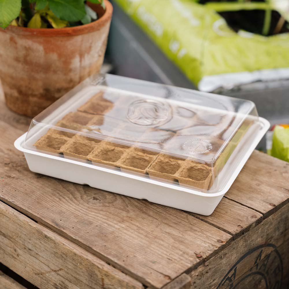 Siemenlaatikko, jossa 30 ekologista ruukkua