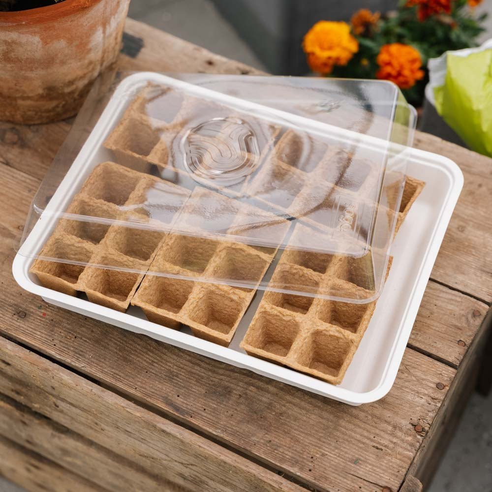 Siemenlaatikko, jossa 30 ekologista ruukkua