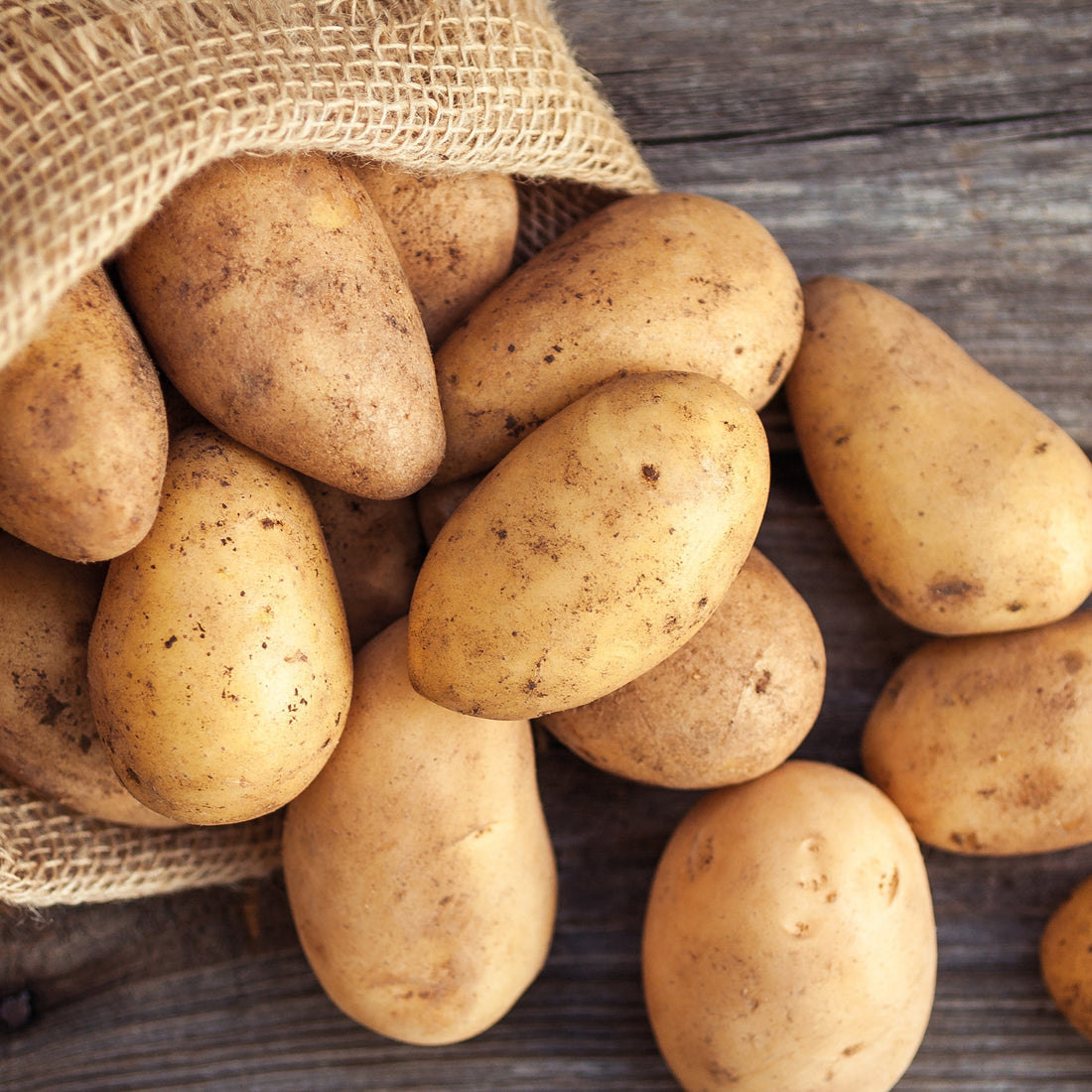 Siemenperuna 'Annabelle'