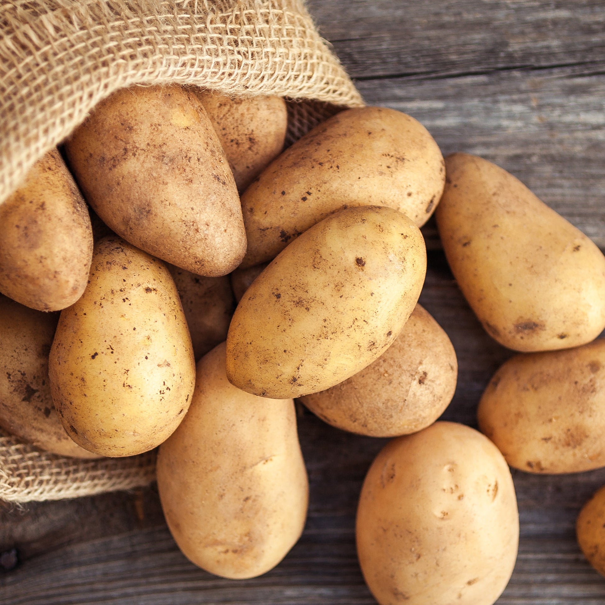 Siemenperuna 'Annabelle'