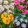 Sipulisekoitus kerrosistutukseen 'Garden Party'