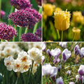 Sipulisekoitus kerrosistutukseen 'Primula Path'