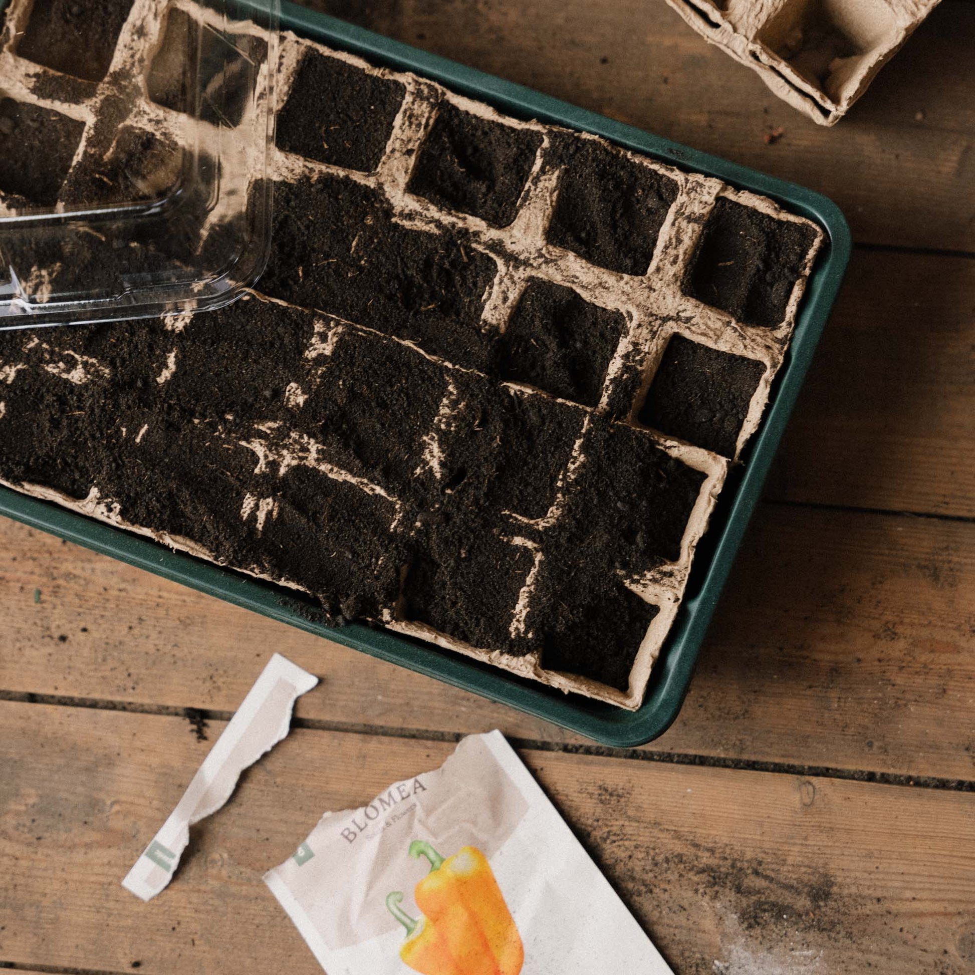 Suuri minikasvihuone