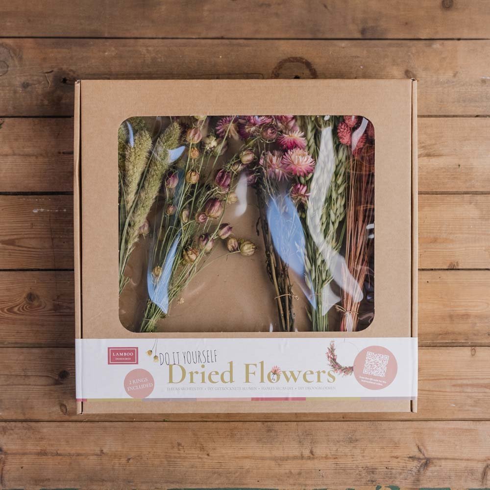 Tee - se - itse - laatikko Isabella, kuivakukkakimput renkailla