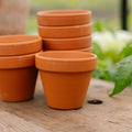Terrakottaruukut 7/8 cm, 7 kpl.