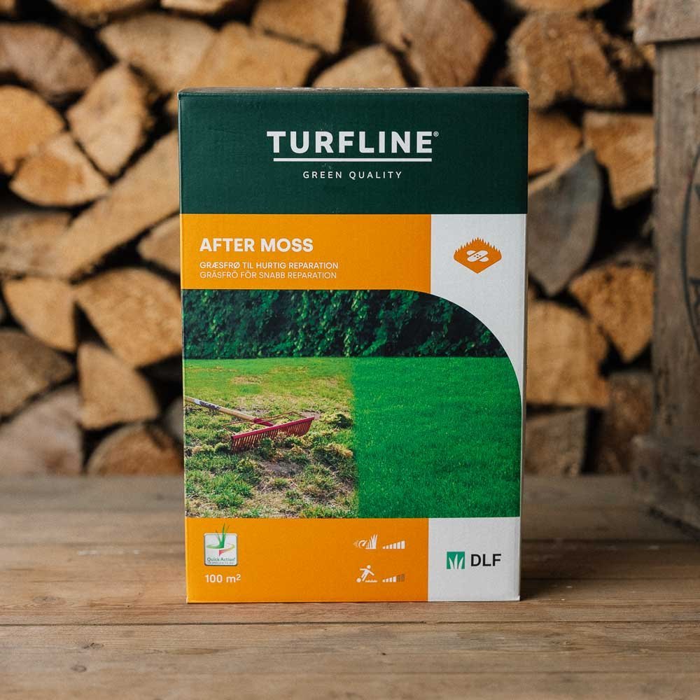 Turfline After Moss ruohonsiemenet, 1 kg (100 m²)