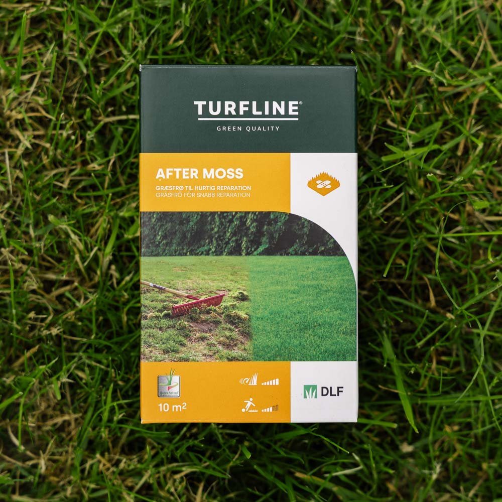 Turfline After Moss ruohonsiemenet, 100 g (10 m²)