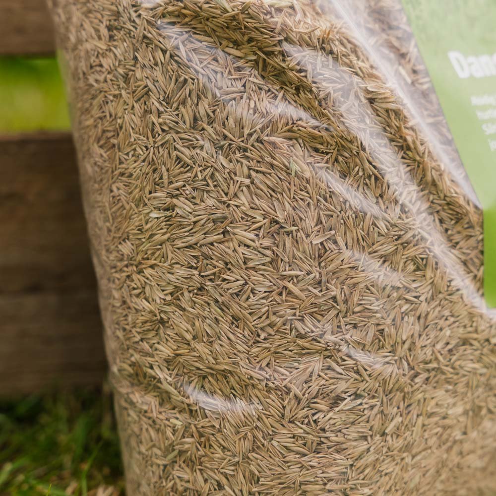 Turfline Tanskalaiset ruohonsiemenet, 1,8 kg (60 m²)