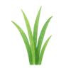 Merkit