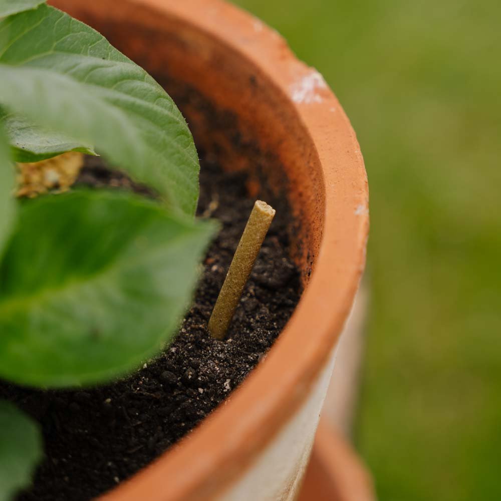 Yleislannoitetikut 30 kpl